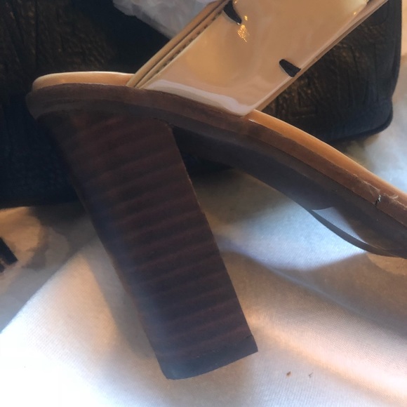 Two Lips Hybrid - Picture 2 of 6